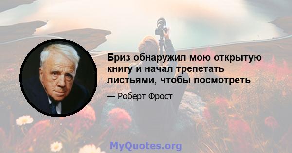 Бриз обнаружил мою открытую книгу и начал трепетать листьями, чтобы посмотреть