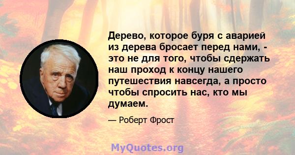 Дерево, которое буря с аварией из дерева бросает перед нами, - это не для того, чтобы сдержать наш проход к концу нашего путешествия навсегда, а просто чтобы спросить нас, кто мы думаем.