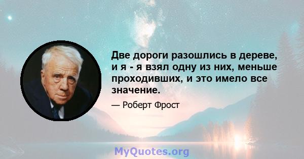 Две дороги разошлись в дереве, и я - я взял одну из них, меньше проходивших, и это имело все значение.