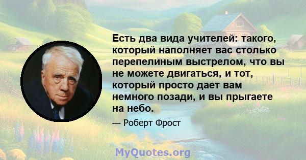 Есть два вида учителей: такого, который наполняет вас столько перепелиным выстрелом, что вы не можете двигаться, и тот, который просто дает вам немного позади, и вы прыгаете на небо.