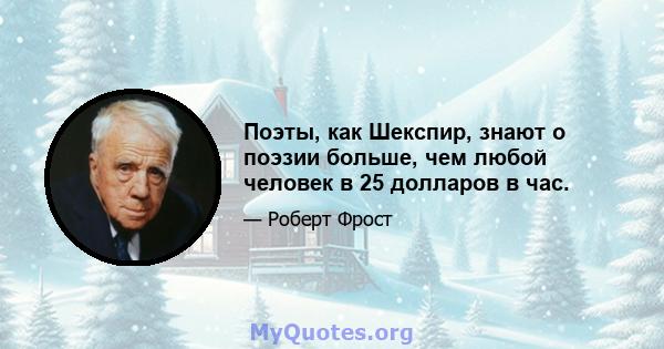 Поэты, как Шекспир, знают о поэзии больше, чем любой человек в 25 долларов в час.