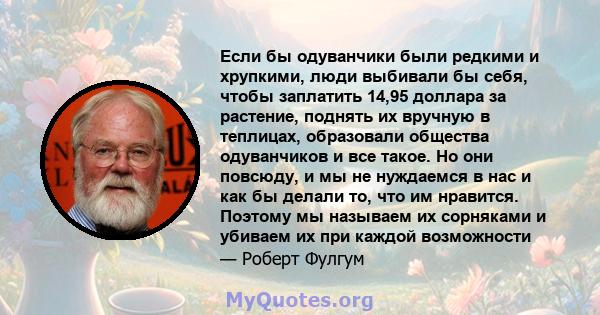 Если бы одуванчики были редкими и хрупкими, люди выбивали бы себя, чтобы заплатить 14,95 доллара за растение, поднять их вручную в теплицах, образовали общества одуванчиков и все такое. Но они повсюду, и мы не нуждаемся 