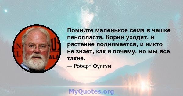 Помните маленькое семя в чашке пенопласта. Корни уходят, и растение поднимается, и никто не знает, как и почему, но мы все такие.