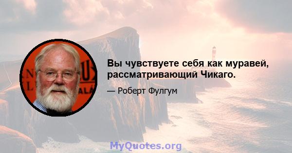 Вы чувствуете себя как муравей, рассматривающий Чикаго.