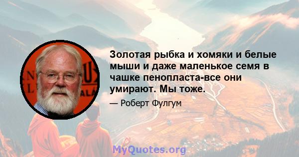 Золотая рыбка и хомяки и белые мыши и даже маленькое семя в чашке пенопласта-все они умирают. Мы тоже.