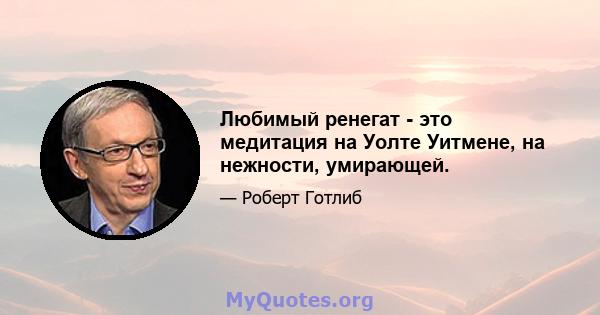 Любимый ренегат - это медитация на Уолте Уитмене, на нежности, умирающей.