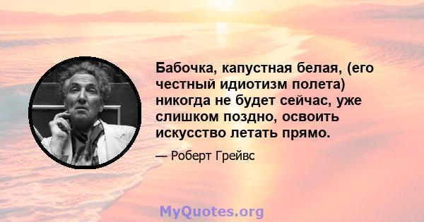 Бабочка, капустная белая, (его честный идиотизм полета) никогда не будет сейчас, уже слишком поздно, освоить искусство летать прямо.