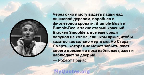 Через окно я могу видеть ладьи над вишневой деревом, воробьев в фиолетовой кровати, Bramble-Bush и Bumble-Bee, а также старый красный Bracken Smoolders все еще среди валунов на холме, слишком яркие, чтобы казаться