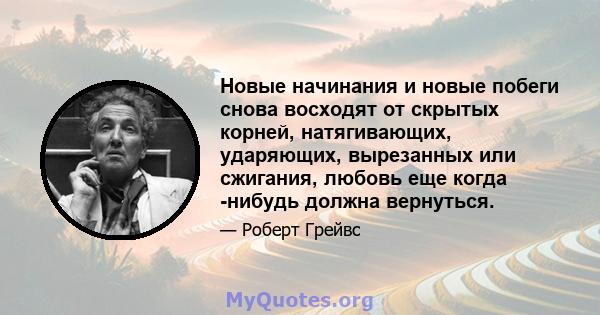 Новые начинания и новые побеги снова восходят от скрытых корней, натягивающих, ударяющих, вырезанных или сжигания, любовь еще когда -нибудь должна вернуться.