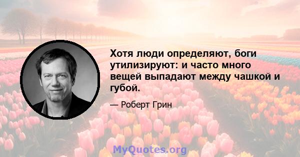 Хотя люди определяют, боги утилизируют: и часто много вещей выпадают между чашкой и губой.