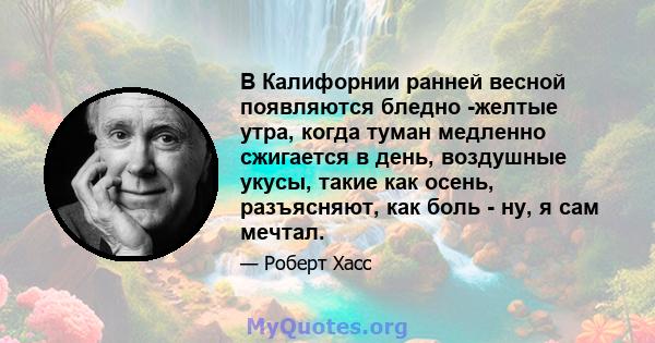 В Калифорнии ранней весной появляются бледно -желтые утра, когда туман медленно сжигается в день, воздушные укусы, такие как осень, разъясняют, как боль - ну, я сам мечтал.