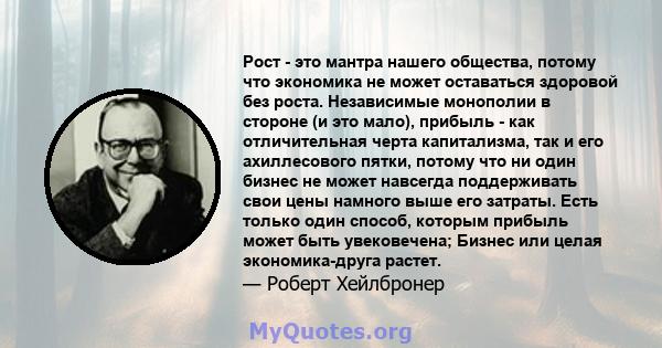 Рост - это мантра нашего общества, потому что экономика не может оставаться здоровой без роста. Независимые монополии в стороне (и это мало), прибыль - как отличительная черта капитализма, так и его ахиллесового пятки,