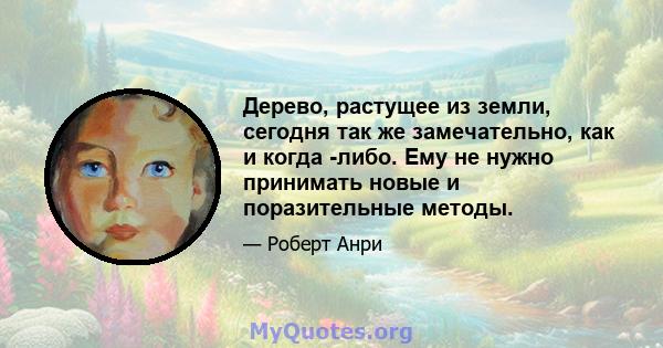 Дерево, растущее из земли, сегодня так же замечательно, как и когда -либо. Ему не нужно принимать новые и поразительные методы.