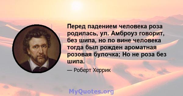 Перед падением человека роза родилась, ул. Амброуз говорит, без шипа, но по вине человека тогда был рожден ароматная розовая булочка; Но не роза без шипа.