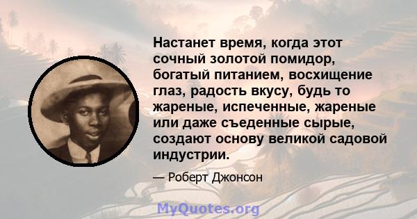 Настанет время, когда этот сочный золотой помидор, богатый питанием, восхищение глаз, радость вкусу, будь то жареные, испеченные, жареные или даже съеденные сырые, создают основу великой садовой индустрии.