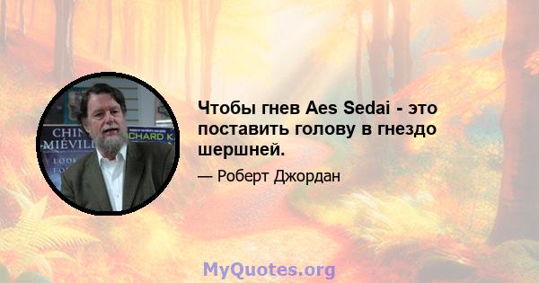 Чтобы гнев Aes Sedai - это поставить голову в гнездо шершней.