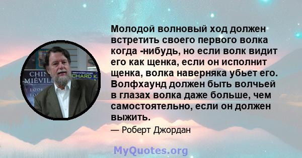 Молодой волновый ход должен встретить своего первого волка когда -нибудь, но если волк видит его как щенка, если он исполнит щенка, волка наверняка убьет его. Волфхаунд должен быть волчьей в глазах волка даже больше,