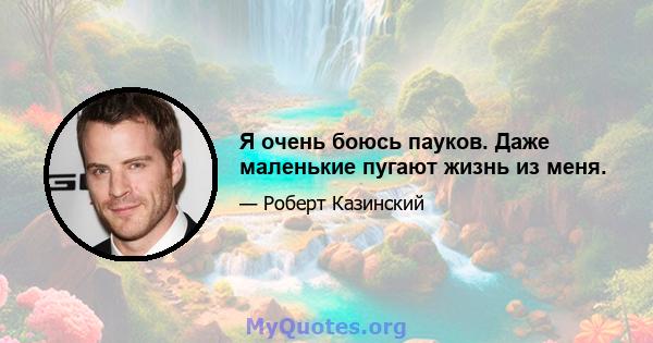 Я очень боюсь пауков. Даже маленькие пугают жизнь из меня.