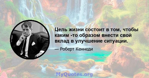 Цель жизни состоит в том, чтобы каким -то образом внести свой вклад в улучшение ситуации.