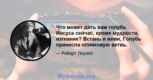 Что может дать вам голубь Иисуса сейчас, кроме мудрости, изгнание? Встань и живи, Голубь принесла оливковую ветвь.