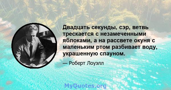 Двадцать секунды, сэр, ветвь трескается с незамеченными яблоками, а на рассвете окуня с маленьким ртом разбивает воду, украшенную спауном.