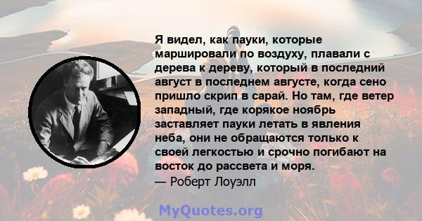 Я видел, как пауки, которые маршировали по воздуху, плавали с дерева к дереву, который в последний август в последнем августе, когда сено пришло скрип в сарай. Но там, где ветер западный, где корякое ноябрь заставляет