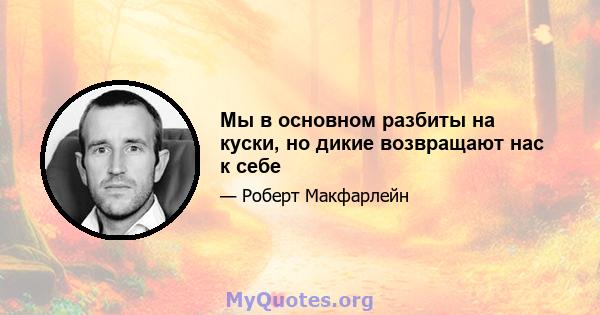 Мы в основном разбиты на куски, но дикие возвращают нас к себе