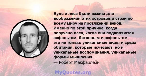 Вудс и леса были важны для воображения этих островов и стран по всему миру на протяжении веков. Именно по этой причине, когда поручено леса, когда они подавляются асфальтом, бетонным и асфальтом, это не только