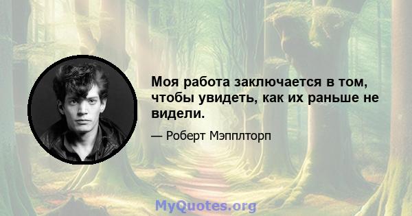 Моя работа заключается в том, чтобы увидеть, как их раньше не видели.