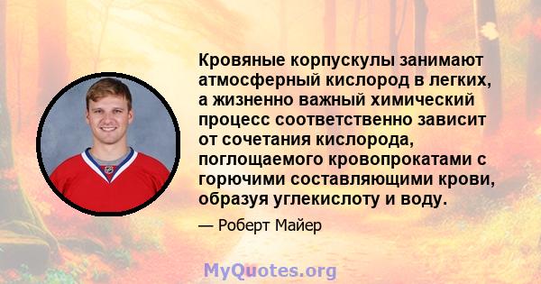 Кровяные корпускулы занимают атмосферный кислород в легких, а жизненно важный химический процесс соответственно зависит от сочетания кислорода, поглощаемого кровопрокатами с горючими составляющими крови, образуя