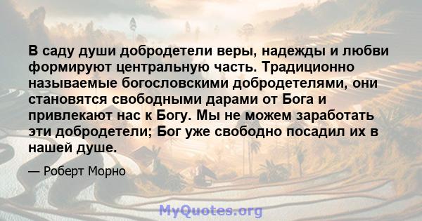 В саду души добродетели веры, надежды и любви формируют центральную часть. Традиционно называемые богословскими добродетелями, они становятся свободными дарами от Бога и привлекают нас к Богу. Мы не можем заработать эти 