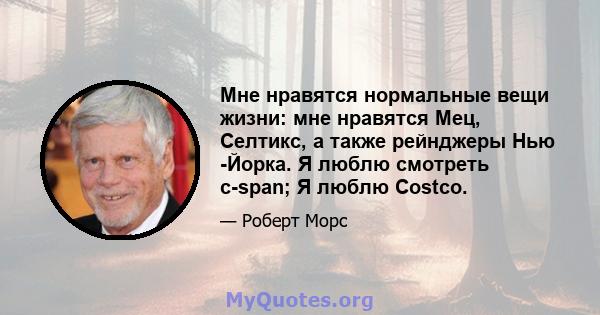 Мне нравятся нормальные вещи жизни: мне нравятся Мец, Селтикс, а также рейнджеры Нью -Йорка. Я люблю смотреть c-span; Я люблю Costco.