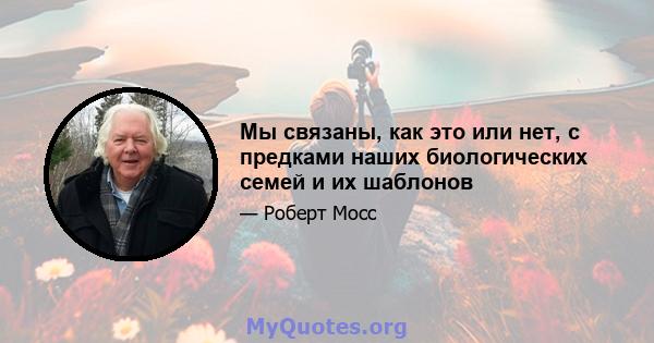 Мы связаны, как это или нет, с предками наших биологических семей и их шаблонов