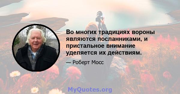 Во многих традициях вороны являются посланниками, и пристальное внимание уделяется их действиям.