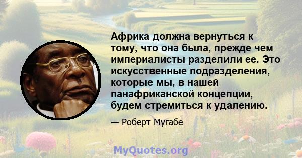 Африка должна вернуться к тому, что она была, прежде чем империалисты разделили ее. Это искусственные подразделения, которые мы, в нашей панафриканской концепции, будем стремиться к удалению.