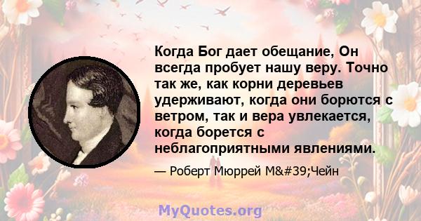 Когда Бог дает обещание, Он всегда пробует нашу веру. Точно так же, как корни деревьев удерживают, когда они борются с ветром, так и вера увлекается, когда борется с неблагоприятными явлениями.