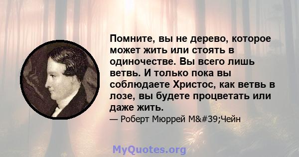 Помните, вы не дерево, которое может жить или стоять в одиночестве. Вы всего лишь ветвь. И только пока вы соблюдаете Христос, как ветвь в лозе, вы будете процветать или даже жить.