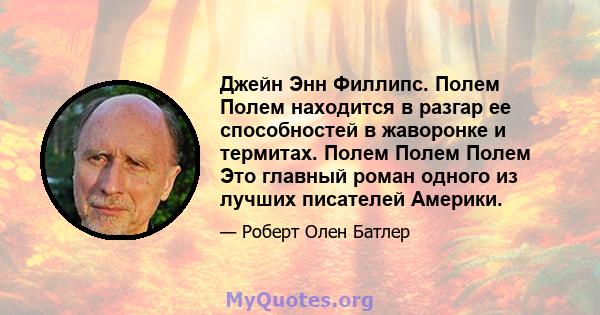 Джейн Энн Филлипс. Полем Полем находится в разгар ее способностей в жаворонке и термитах. Полем Полем Полем Это главный роман одного из лучших писателей Америки.