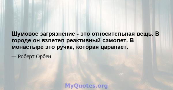 Шумовое загрязнение - это относительная вещь. В городе он взлетел реактивный самолет. В монастыре это ручка, которая царапает.