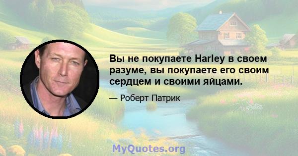 Вы не покупаете Harley в своем разуме, вы покупаете его своим сердцем и своими яйцами.