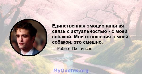 Единственная эмоциональная связь с актуальностью - с моей собакой. Мои отношения с моей собакой, это смешно.