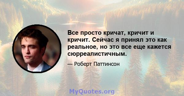 Все просто кричат, кричит и кричит. Сейчас я принял это как реальное, но это все еще кажется сюрреалистичным.