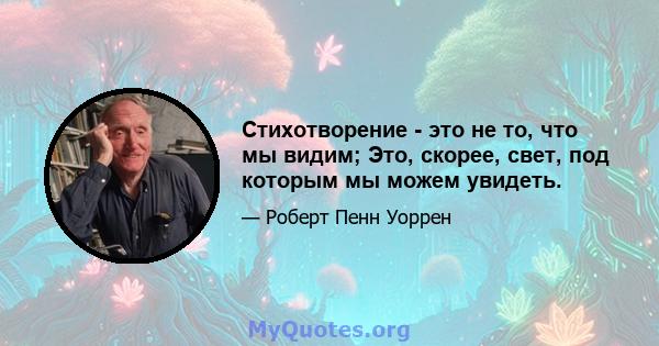 Стихотворение - это не то, что мы видим; Это, скорее, свет, под которым мы можем увидеть.