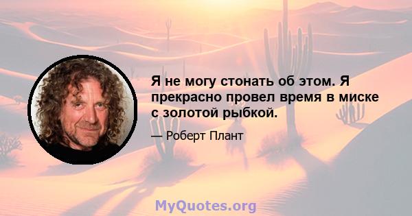 Я не могу стонать об этом. Я прекрасно провел время в миске с золотой рыбкой.