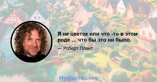 Я не цветок или что -то в этом роде ... что бы это ни было.