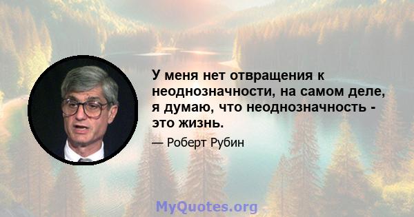 У меня нет отвращения к неоднозначности, на самом деле, я думаю, что неоднозначность - это жизнь.