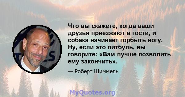 Что вы скажете, когда ваши друзья приезжают в гости, и собака начинает горбыть ногу. Ну, если это питбуль, вы говорите: «Вам лучше позволить ему закончить».