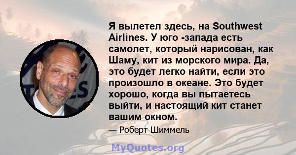 Я вылетел здесь, на Southwest Airlines. У юго -запада есть самолет, который нарисован, как Шаму, кит из морского мира. Да, это будет легко найти, если это произошло в океане. Это будет хорошо, когда вы пытаетесь выйти,