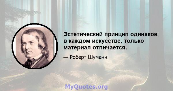 Эстетический принцип одинаков в каждом искусстве, только материал отличается.