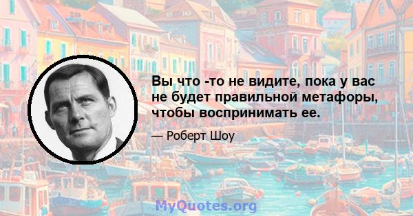 Вы что -то не видите, пока у вас не будет правильной метафоры, чтобы воспринимать ее.